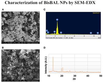 Synergistic Antitumor Activity of Gramicidin/Lipophilic Bismuth Nanoparticles (BisBAL NPs) on Human Cervical Tumor Cells